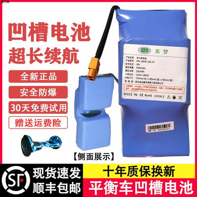 平衡车电池领奥动36v通用4