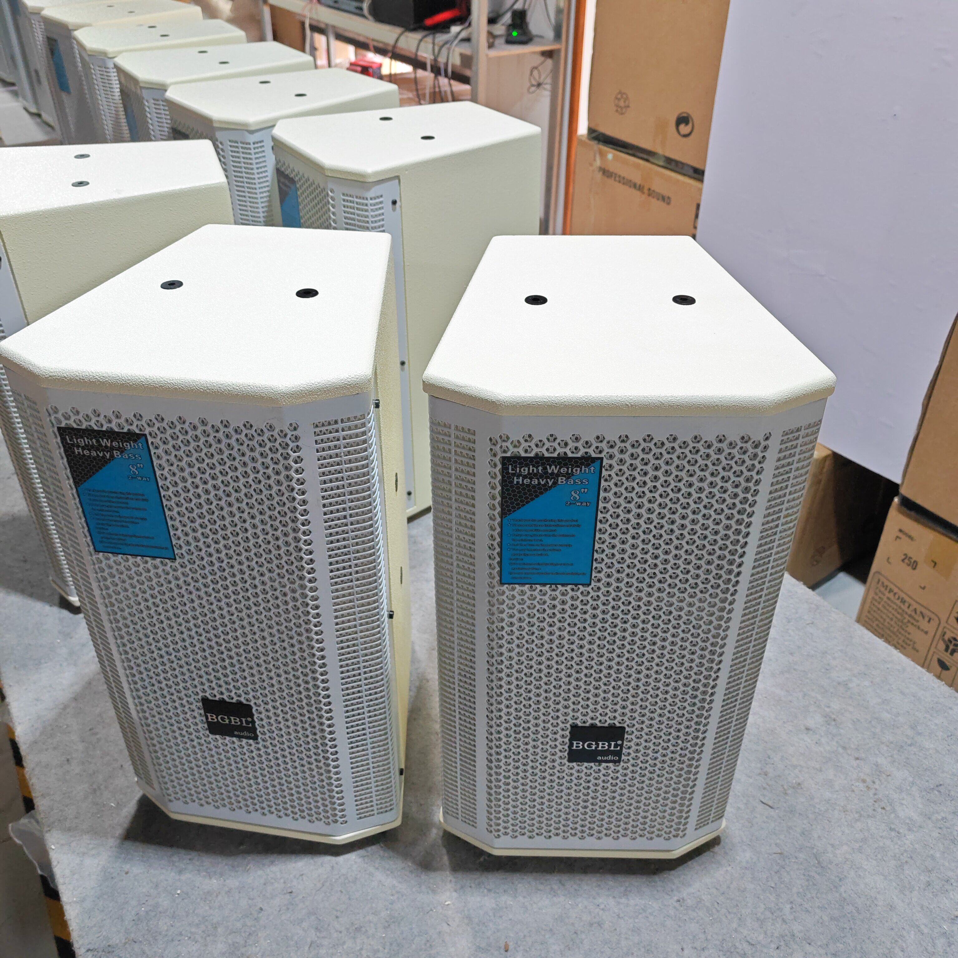 促销B-8白色喷漆音箱BGBL8英寸专业音箱KTV舞台演出会议音箱750瓦