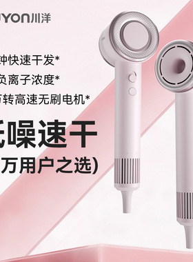 Super Hair dryer高速电吹风机负离子柔顺护发家用大功率低噪无刷