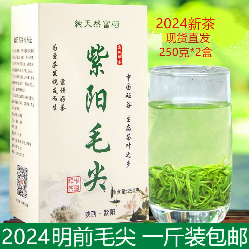 2024新茶绿茶紫阳茶新茶散装茶毛尖紫阳茶明前茶毛尖500克包邮 茶 特色产区绿茶 原图主图