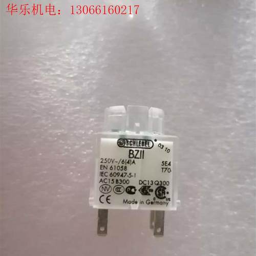 SCHLEGEL开关触点BZII.250V(请询价)