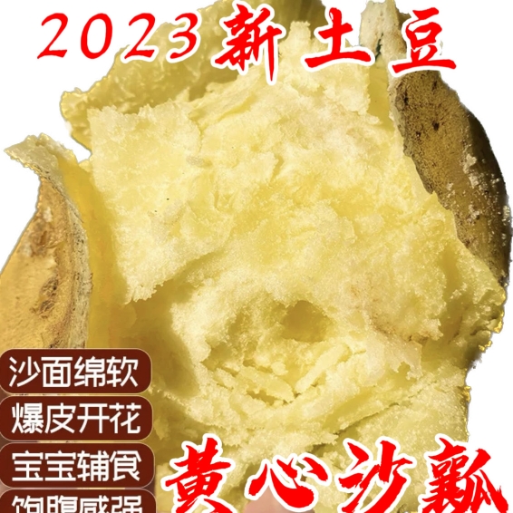 【黄皮土豆】新鲜土豆黄皮黄心沙面粉糯爆皮新土豆现挖马铃薯洋芋