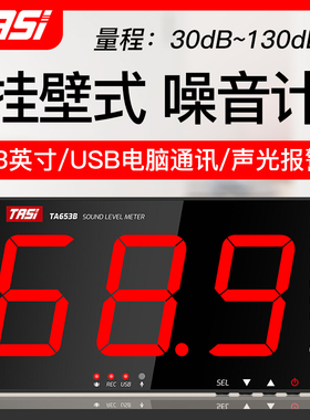 特安斯TA653A/654B挂壁式噪音计分贝仪大屏高精度噪音测试带探头