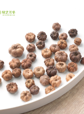 进口植物果实小桔瓜迷你小南瓜手工diy材料干花干果植物果实标本