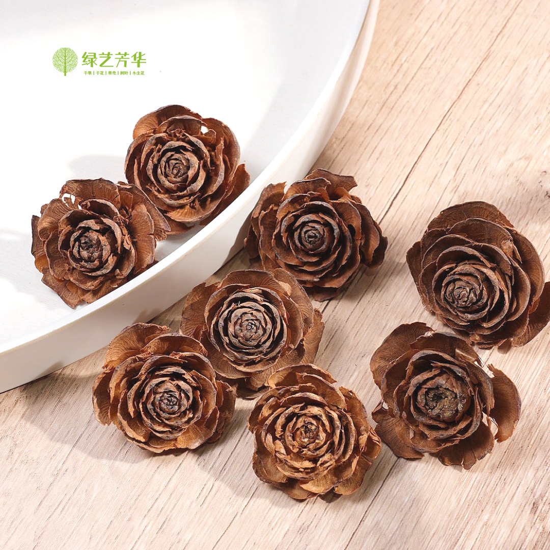 【木玫瑰】天然植物果实松果木玫瑰手工diy材料豆荚配件相框画