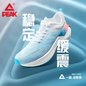 匹克态极5.0PRO跑鞋新款男士竞速减震运动鞋专业网面透气跑步鞋男
