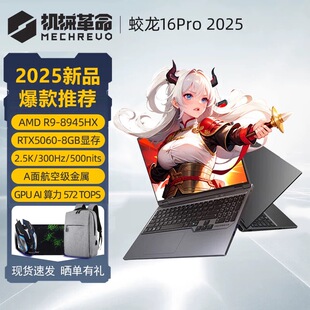 机械革命蛟龙16Pro/极光X/旷世X/电竞游戏本高刷5060笔记本电脑