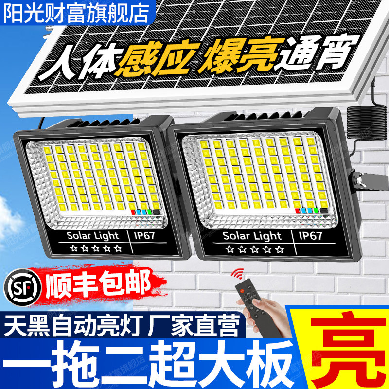 一拖二太阳能户外灯家用庭院灯2025新款投光照明灯大功率人体感应