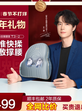 24H发货】 SKG按摩器t3-2腰部背部按摩仪办公室腰垫车载靠垫热敷