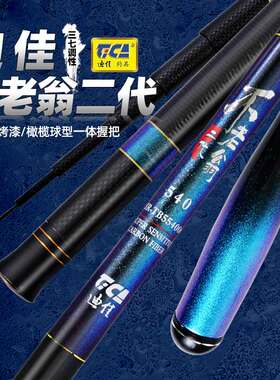 迪佳轻量休闲台钓竿2021年新品
