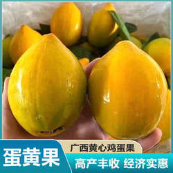 广西南宁椰香芒鸡蛋芒绿皮芒果当季新鲜水果土芒果整箱10斤胜覃斗