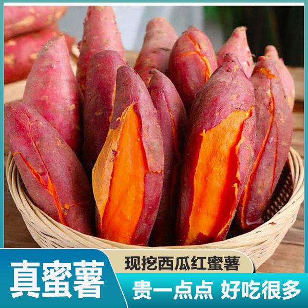 烟薯西瓜红蜜薯农科院蜜薯糖心西瓜黄心密薯正宗广西红薯种植美味