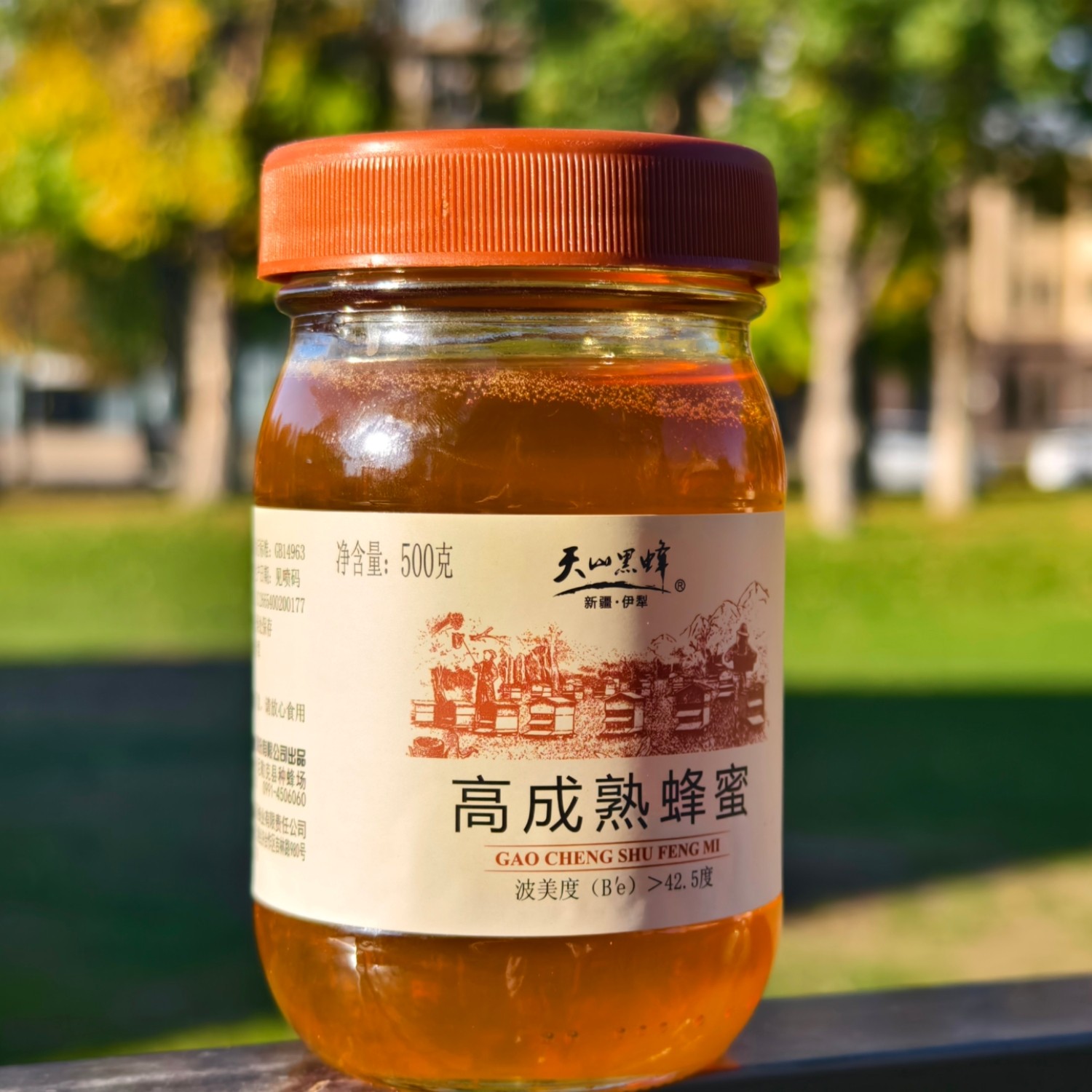新疆天山黑蜂高成熟百花蜜
