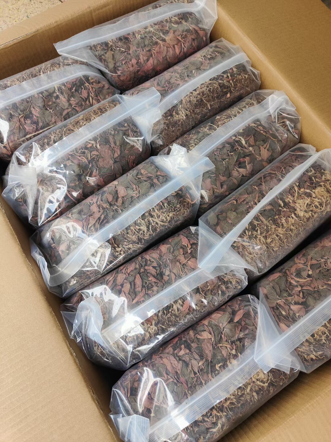 福建金线莲干货红霞金线莲整珠干品50g 大叶干货养生滋补药材