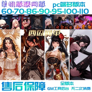 dnf单机版联网版60版70版86版90版95版100版110版联网版送GM工具