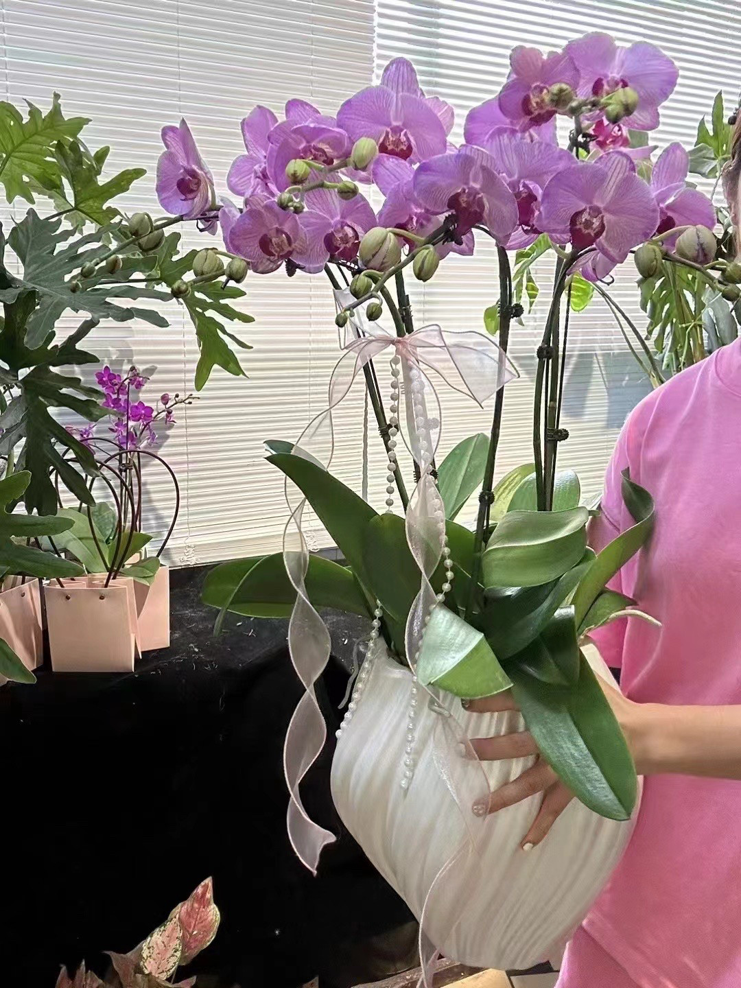 外贸花盆欧美简约设计创意个性蝴蝶兰百搭花器桌面摆件室内装饰,鲜花速递/花卉仿真/绿植园艺,花盆,淘宝优惠券,粉丝福利购,淘宝优惠卷