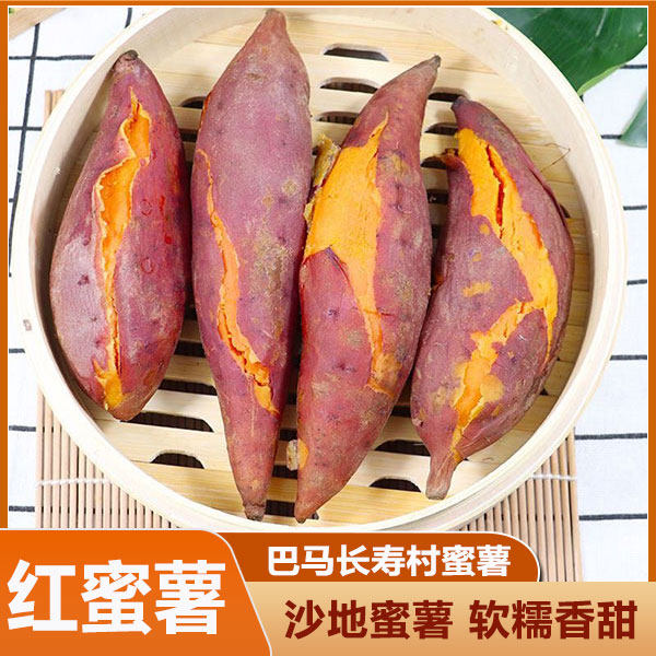 广西西瓜红密薯新鲜番薯烟台蜜薯番薯