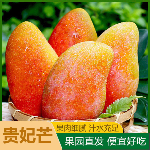 广西贵妃芒香甜新鲜南宁贵妃芒果当季整箱包邮树上熟现摘特产水果
