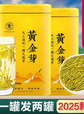 正宗白茶吉安2025年新茶特级礼盒装散装一级高山绿茶黄金芽茶叶