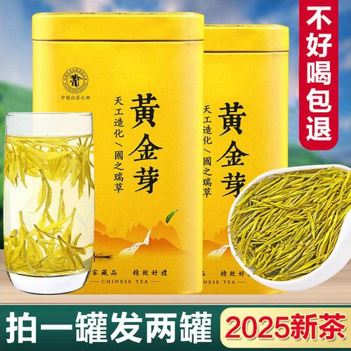 2025正宗白茶安吉黄金芽礼盒装