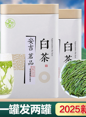 正宗白茶安吉高山特级2025年新茶礼盒装一级口粮绿茶雨前散装茶叶