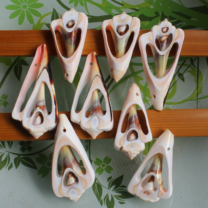 天然红口螺 25*50mm左右孔雀贝三角形吊坠挂件 diy材料配件批发