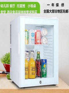 幼儿园食品留样柜食堂小型饭桌家用冷柜饮料冷藏保鲜展示冰箱带锁