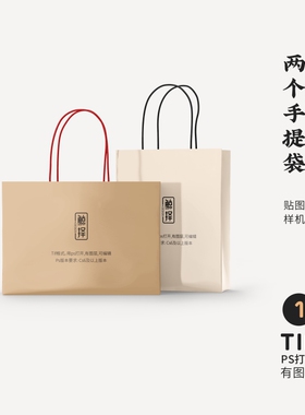 J234高端品牌logo提案两个手提袋VI样机模板psd智能贴图mockup