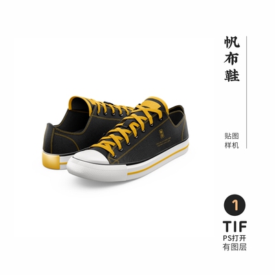 J388高端品牌logo提案帆布鞋VI样机模板psd智能贴图mockup