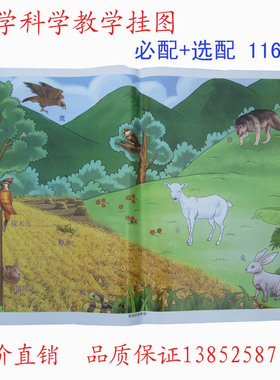 59003-59007 小学科学教学挂图 全套116幅 必配+选配 教学仪器