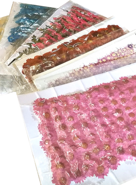 花草纸花瓣压花标本次品特惠