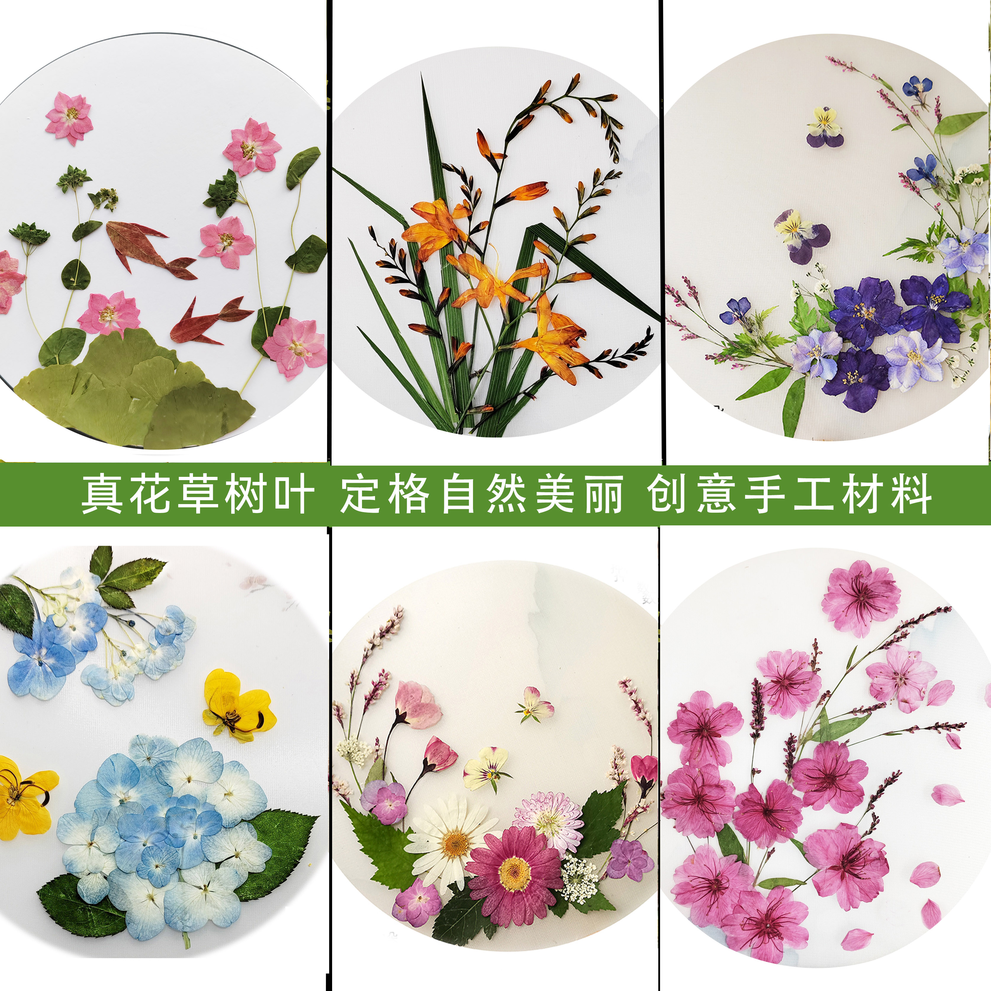 diy压花团扇台灯真花手工材料包