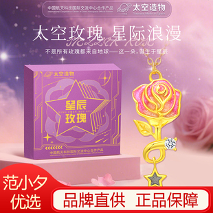 中国航天太空造物星辰玫瑰项链2025新款陨石吊坠送女友生节日礼物