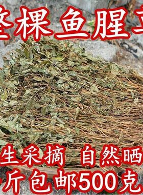 野生鱼腥草干货茶秦岭鱼腥草当季新货鱼腥草泡水喝养生茶包邮