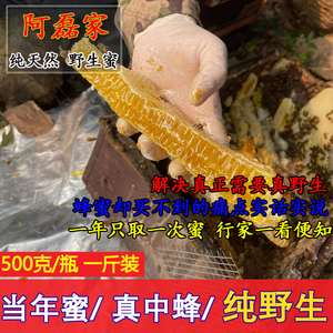 阿磊家正宗土蜂蜜纯正天然野生蜜农家手工蜜孕妇儿童放心食用限量