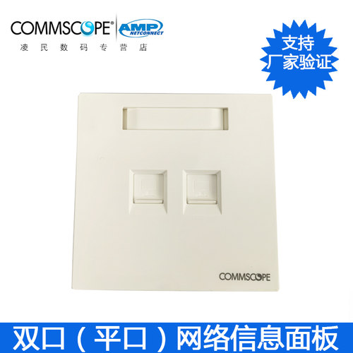 康普安普AMP双口网络面板