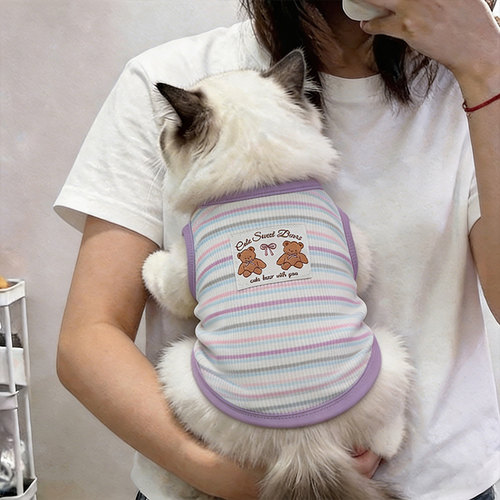 猫衣服防掉毛薄款德文猫小猫夏天宠物休闲金渐层小熊条纹两脚背心