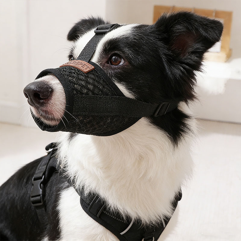 狗嘴套防咬防叫狗狗专用口罩金毛透气中型犬防舔嘴巴套可喝水防扒,宠物/宠物食品及用品,嘴套,淘宝优惠券,粉丝福利购,淘宝优惠卷
