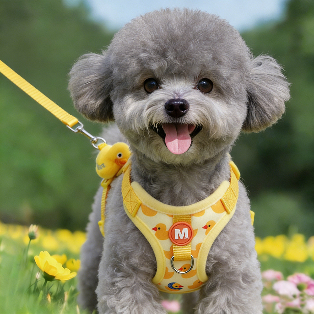 狗狗牵引绳小型犬背心式胸背带狗绳泰迪卡通鸭子网红高颜值遛狗绳,宠物/宠物食品及用品,狗牵引绳,淘宝优惠券,粉丝福利购,淘宝优惠卷