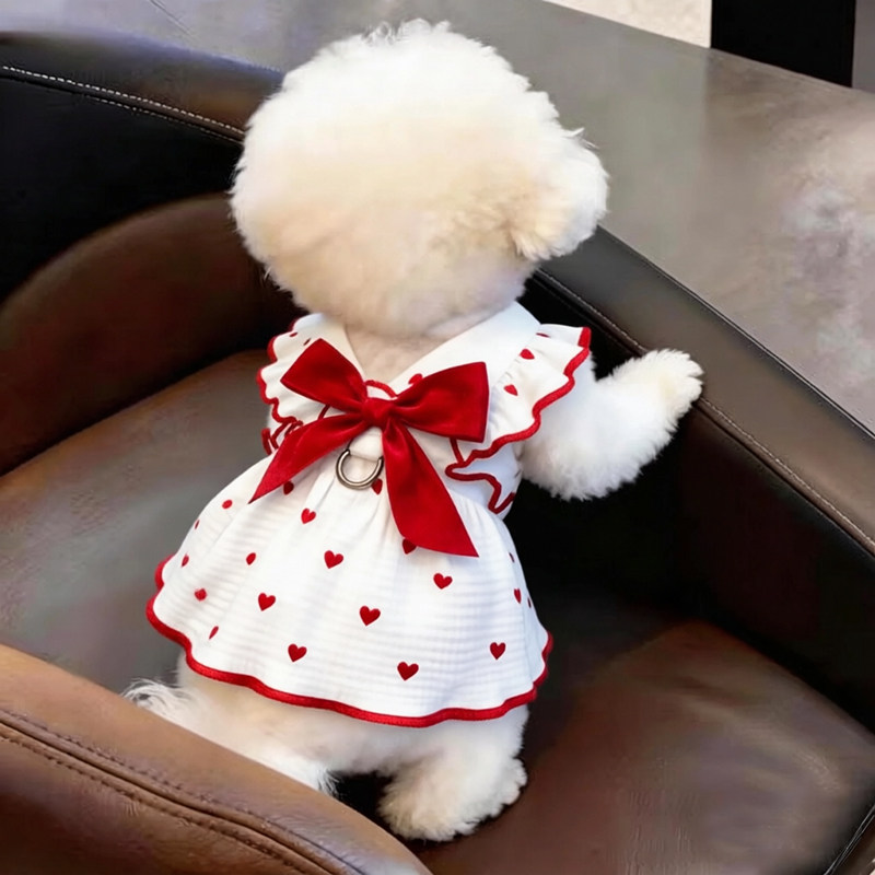小狗衣服春装薄款幼犬夏天狗狗小型犬比熊带牵引环裙子高颜值宠物图片