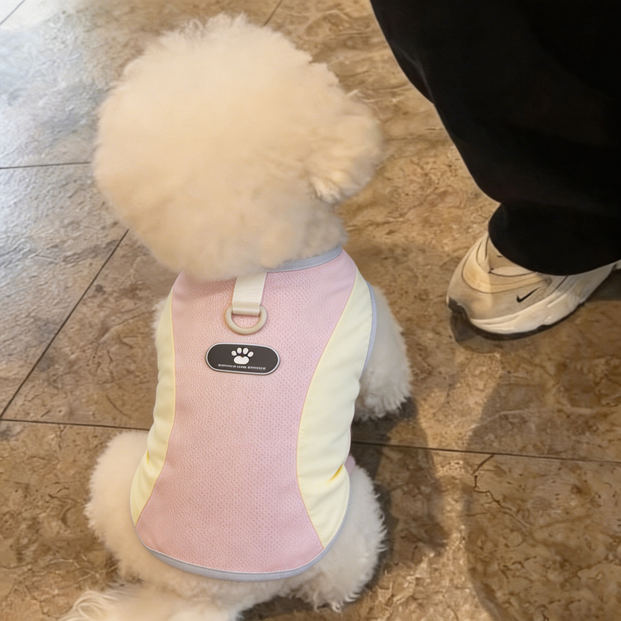 狗狗凉凉衣夏天小型犬凉感衣服泰迪薄款透气可牵引扣外出防脏居家图片