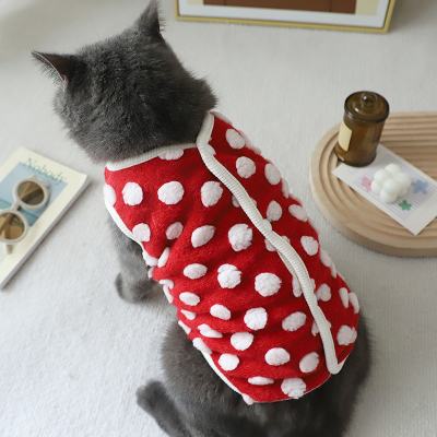 德文卷毛猫幼猫衣服保暖棉背心