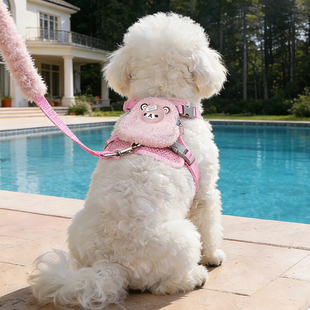 狗牵引绳狗狗胸背带式狗绳小型犬可调节小狗牵狗绳幼犬专用工字型