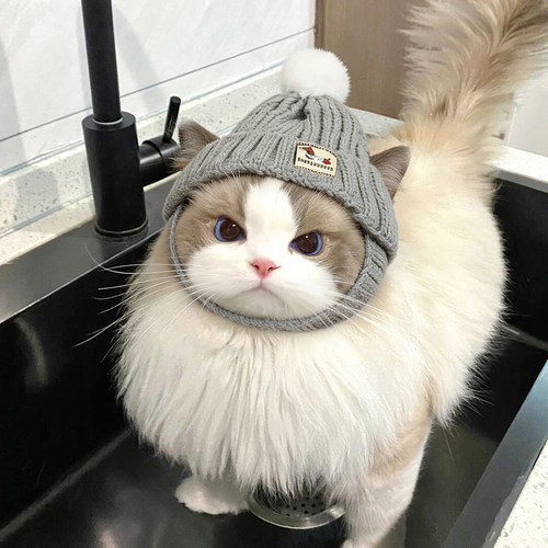 猫咪帽子秋冬小猫头套冬季保暖露耳朵毛球毛线帽韩系网红布偶可爱