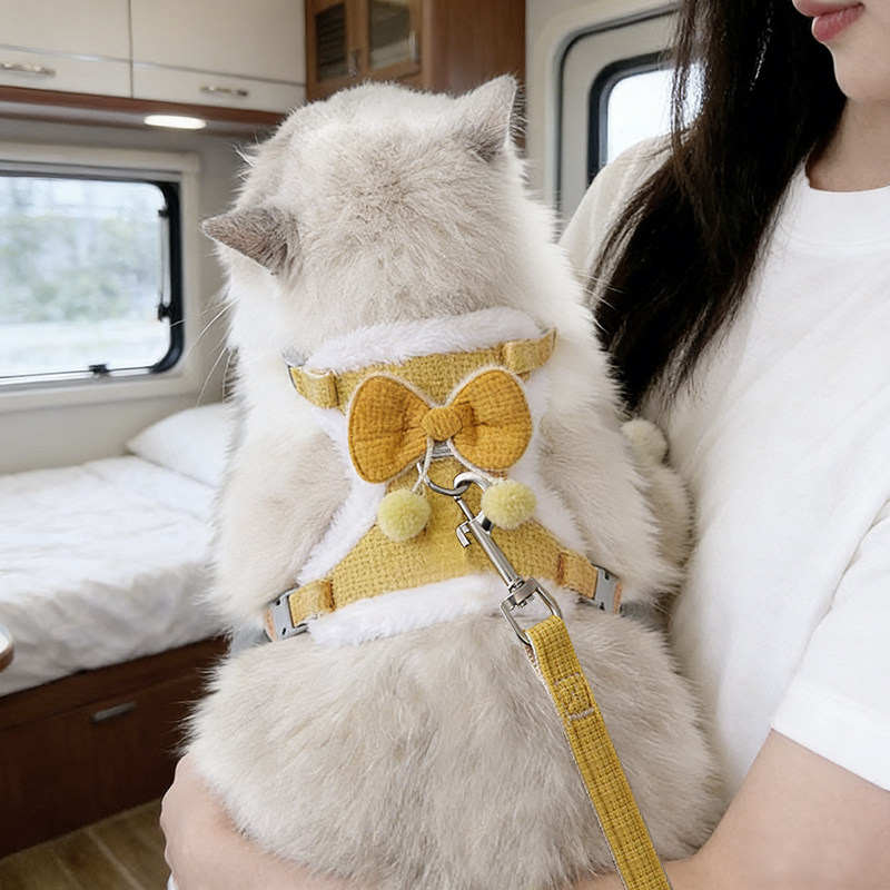 猫咪牵引绳遛猫绳子德文猫毛球蝴蝶结防挣脱小猫绳子冬天加绒胸背