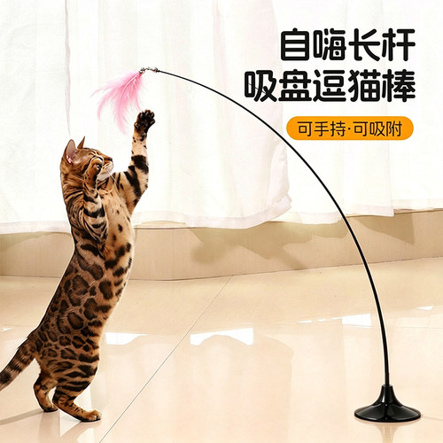 猫玩具逗猫棒猫咪自嗨解闷逗猫小猫羽毛吸盘安全透明长杆互动玩具