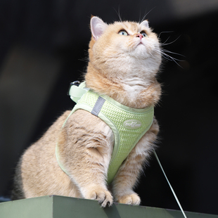 小猫牵引绳猫咪专用防挣脱两个月可调节可爱金渐层小奶猫布偶外出