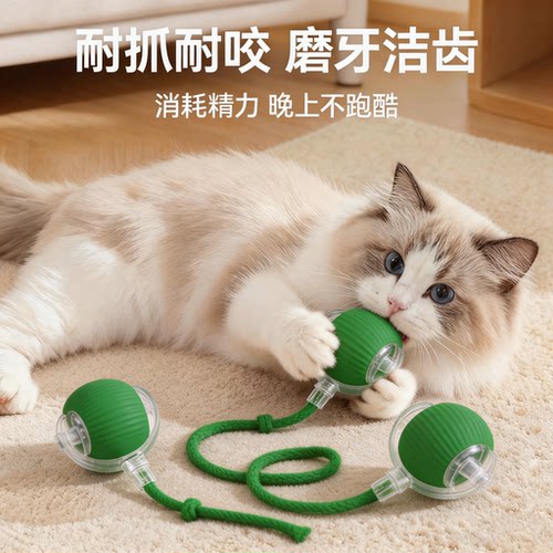 猫玩具电动逗猫自嗨解闷消耗体力布偶猫智能逗猫球追逐玩耍银渐层