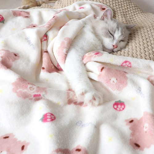 猫毯子小猫睡觉被子猫咪毛毯保暖踩奶垫银渐层加厚毛绒毯粉色小熊