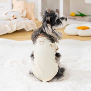 狗狗衣服2026新款春装小型犬夏天雪纳瑞薄款夏装高颜值背心可牵引